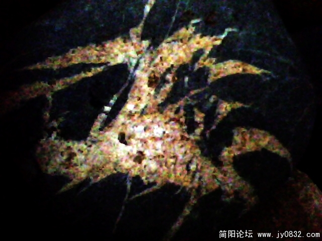 IMG1018A.jpg