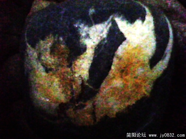 IMG1022A.jpg