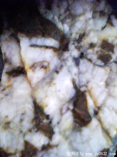 IMG1038A.jpg