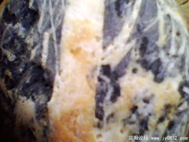 IMG1029A.jpg