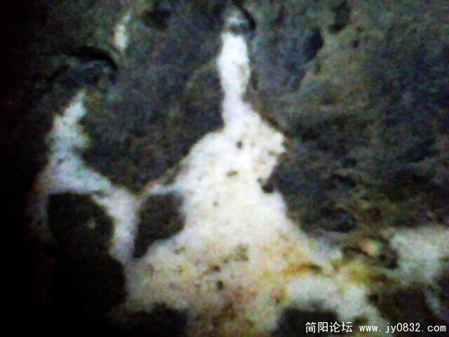 IMG1012A.jpg