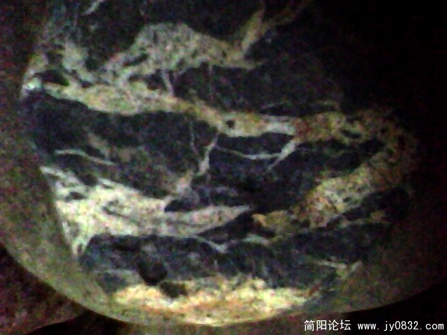 IMG1014A.jpg