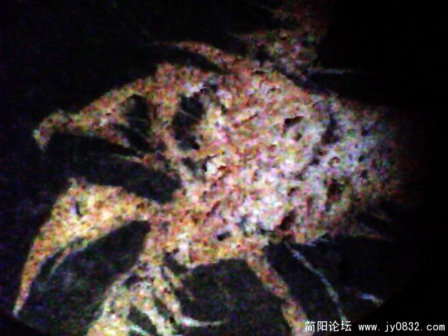 IMG1020A.jpg