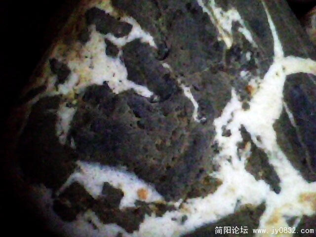 IMG1013A.jpg