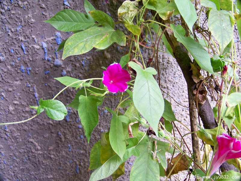 100_0478.JPG