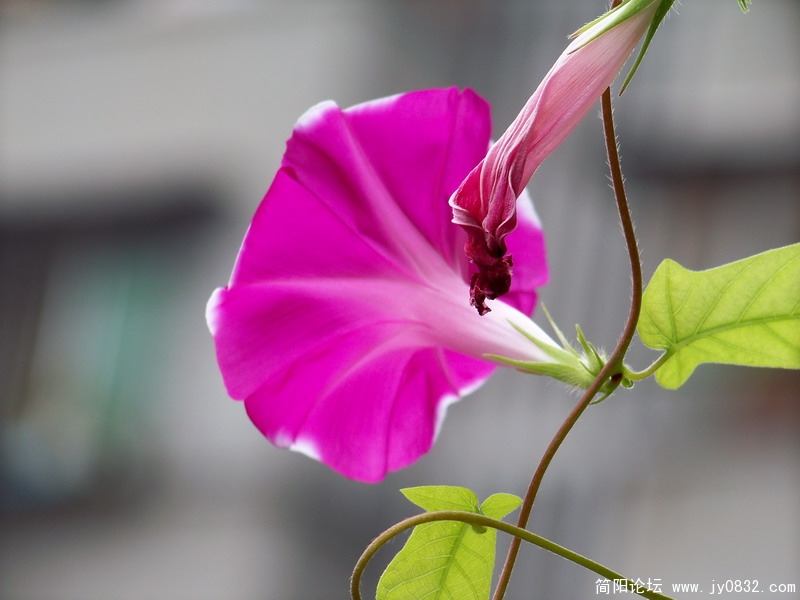 100_0410.JPG