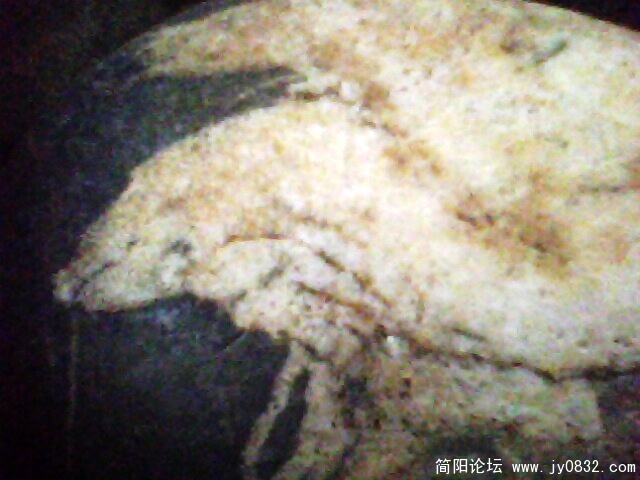 IMG1040A.jpg