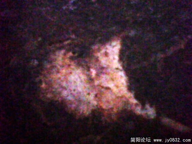 IMG1042A.jpg