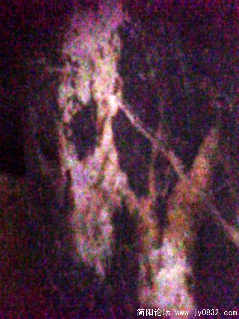 IMG1044A.jpg