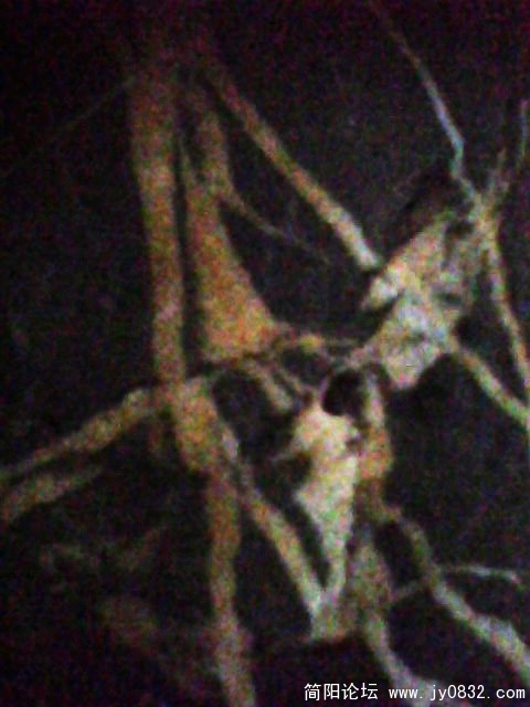IMG1043A.jpg