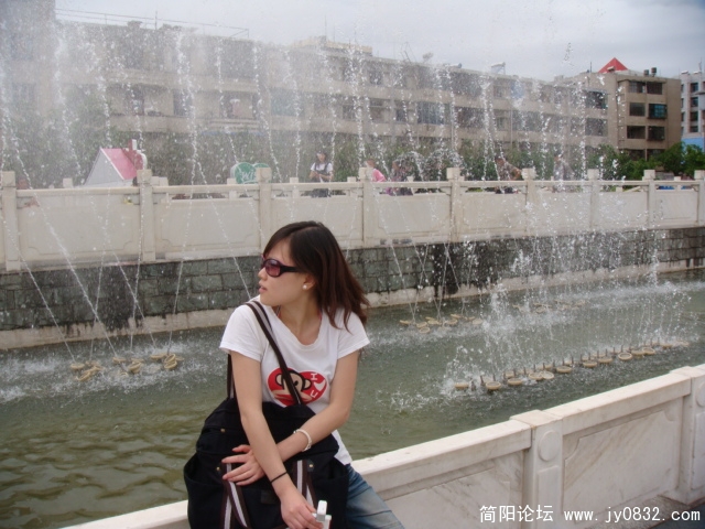 吉娃娃在成都 死都不回来