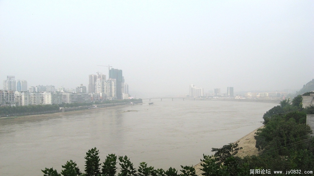 IMG_2941.jpg