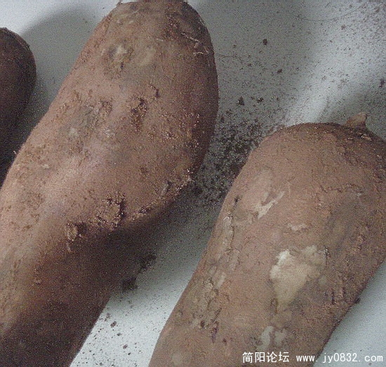 照片125.jpg