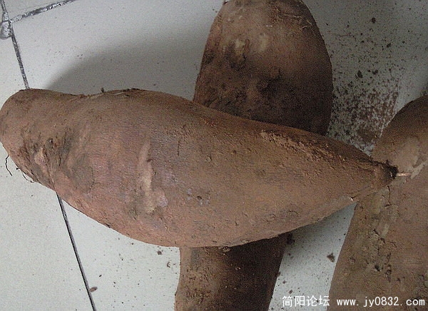 照片129.jpg
