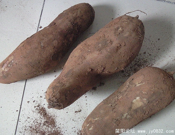 照片124.jpg