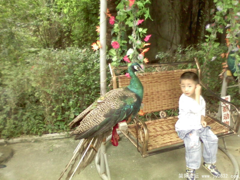 IMG0052A.jpg