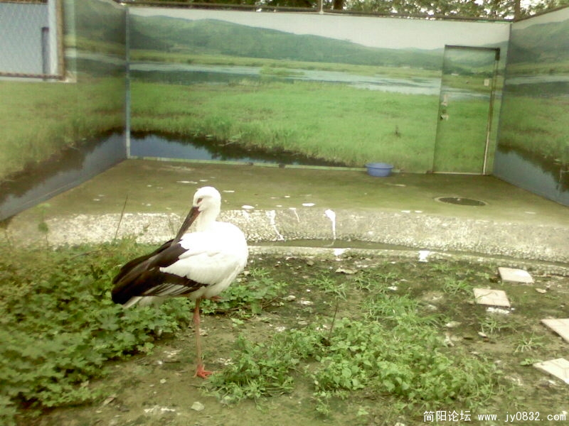 IMG0112A.jpg