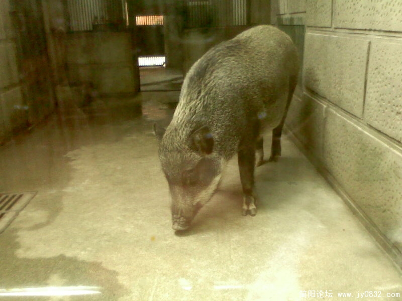 IMG0033A.jpg