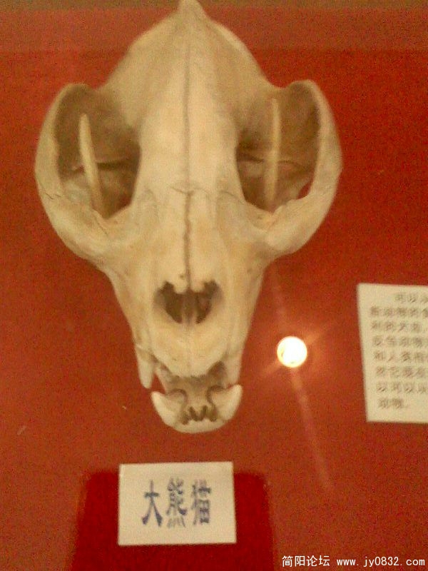 IMG0123A.jpg