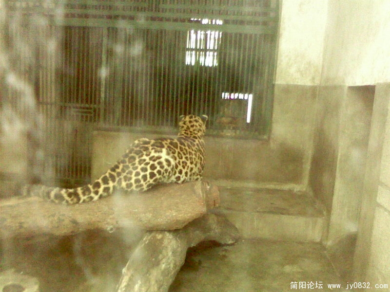IMG0040A.jpg