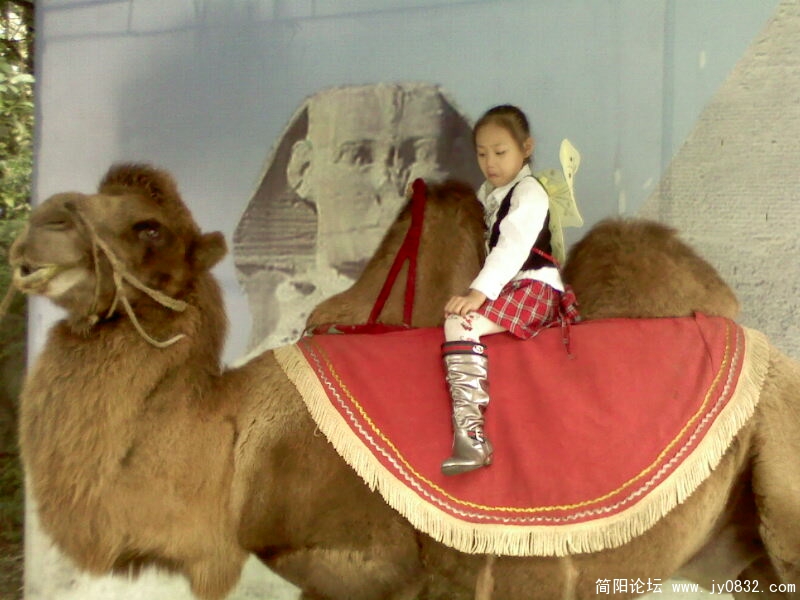 IMG0054A.jpg
