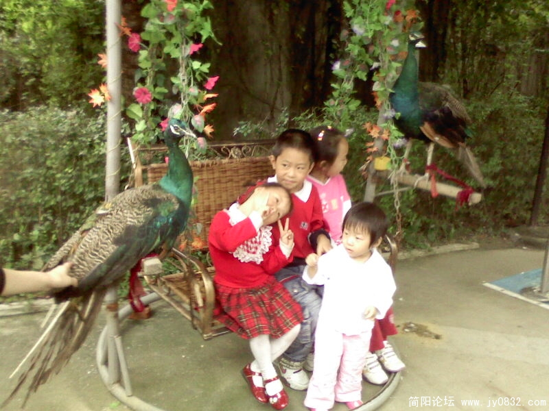 IMG0051A.jpg