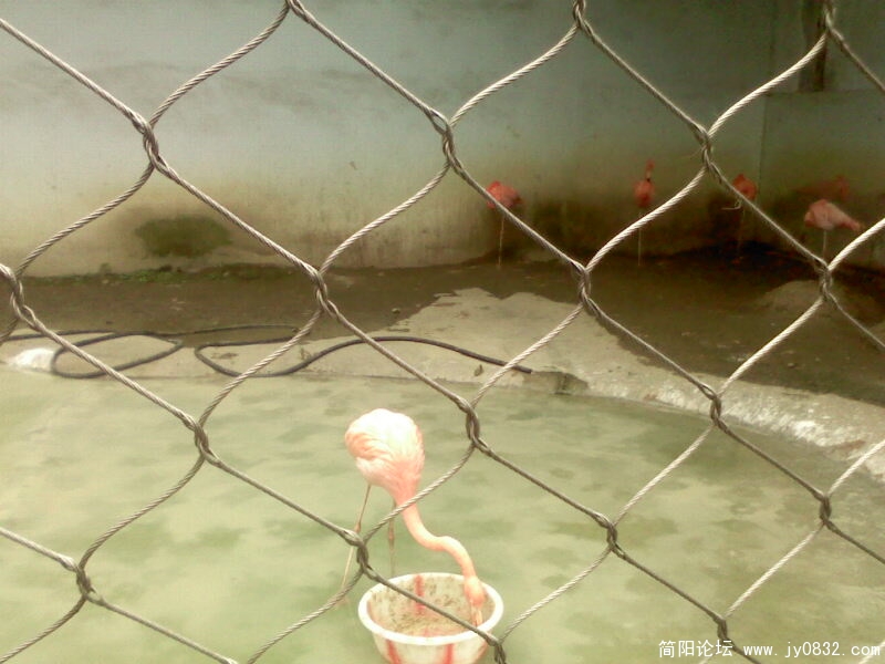IMG0120A.jpg