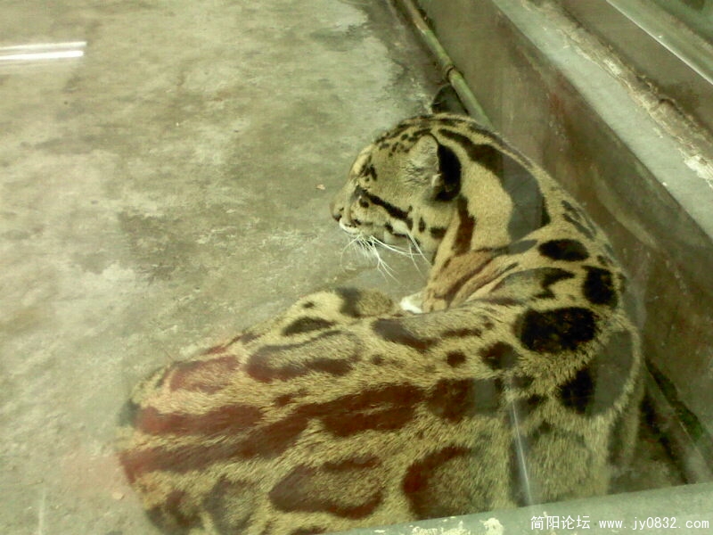 IMG0041A.jpg