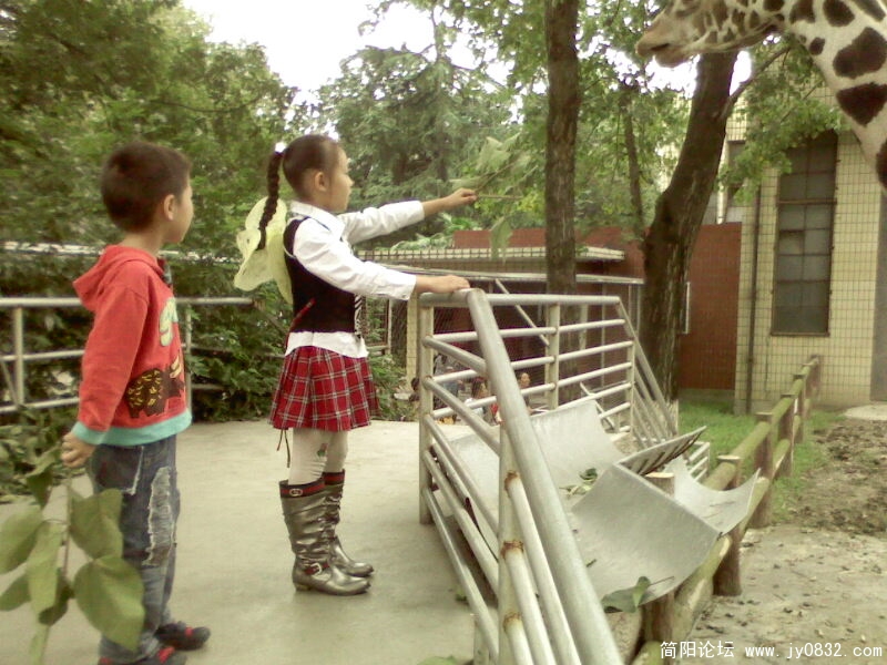 IMG0064A.jpg