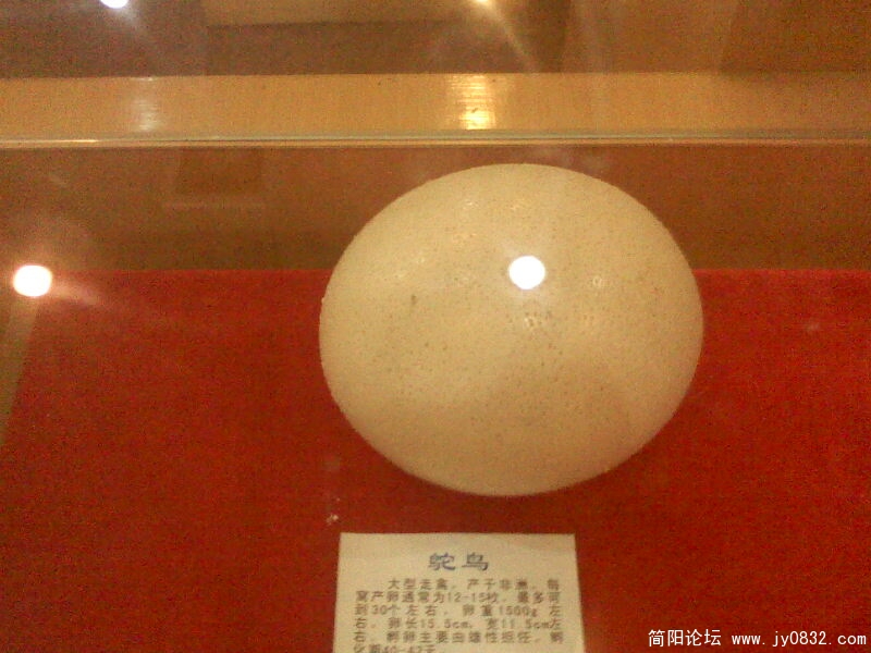 IMG0124A.jpg