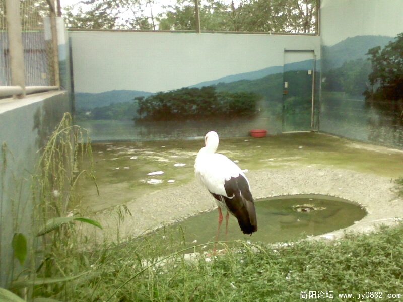 IMG0110A.jpg