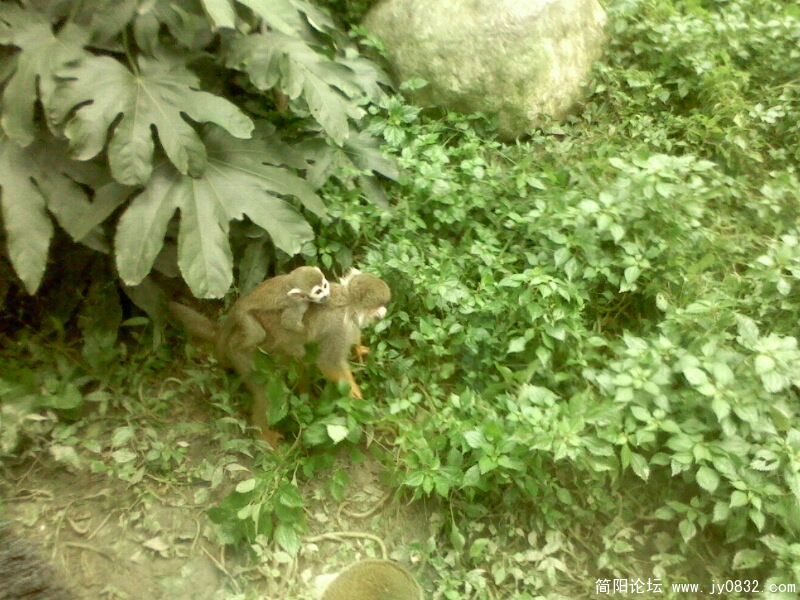 IMG0080A.jpg