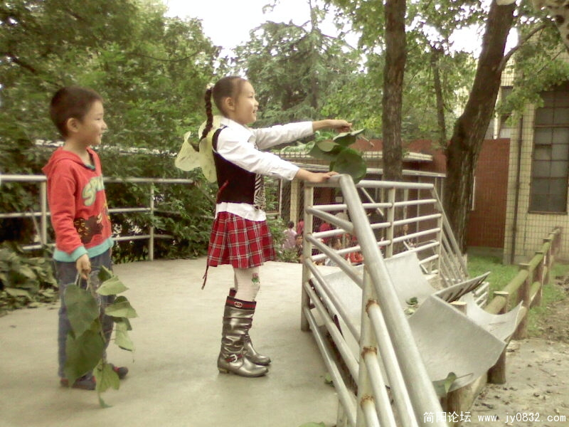 IMG0063A.jpg
