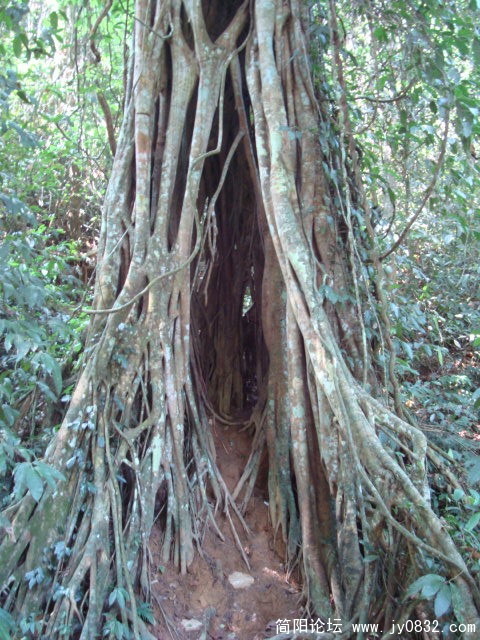 DSC02517.JPG