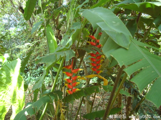 不知名