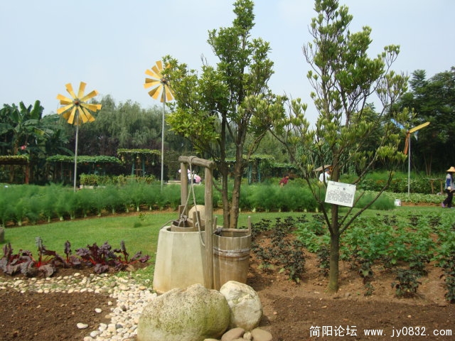 园中小景