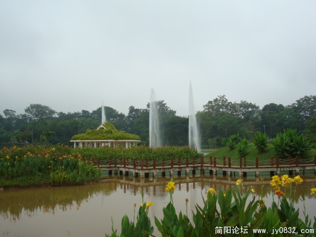 园中小景