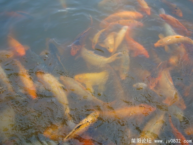 吃好了，正散去