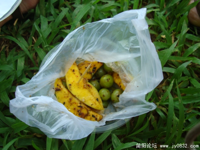 呶，凉拌的芒果和青橄榄，又算又辣，傣味的特点就是 酸，辣，苦，怪。