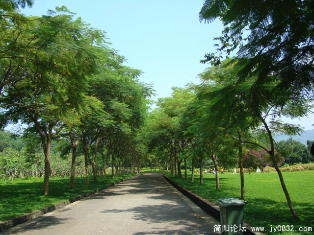 DSC02782.JPG