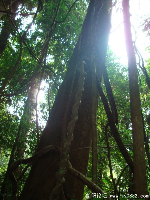 DSC02307.JPG