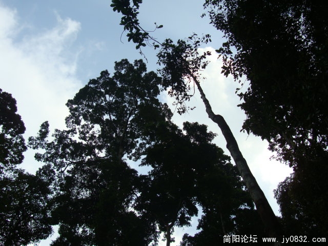 DSC02356.JPG