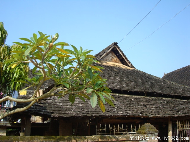 DSC02593.JPG