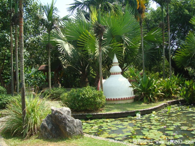 DSC02777.JPG