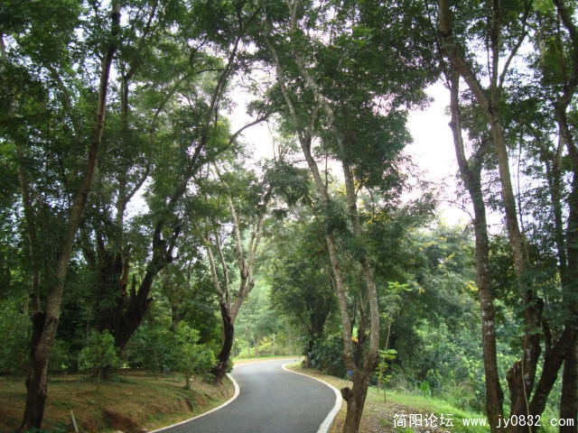 DSC02459.JPG
