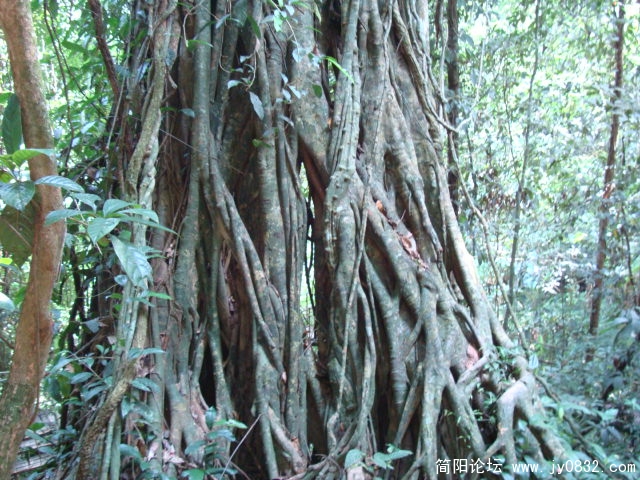 DSC02516.JPG