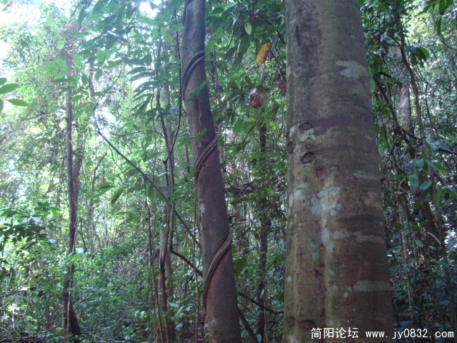 DSC02304.JPG