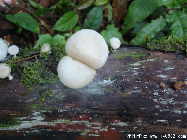 DSC02360.JPG