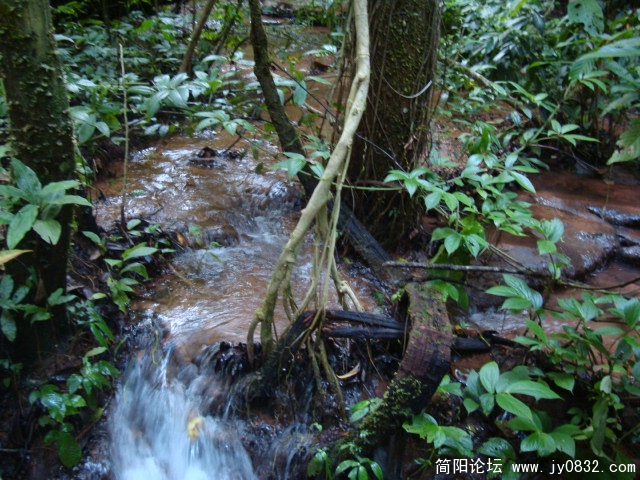 DSC02353.JPG