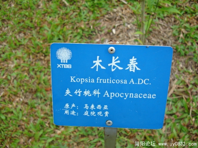 木长春